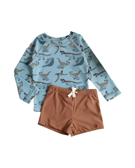 Boys' dinosaur swimwear set