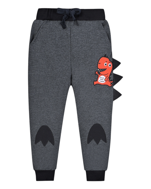Boys' Grey Dinosaur Patterned Track Pants