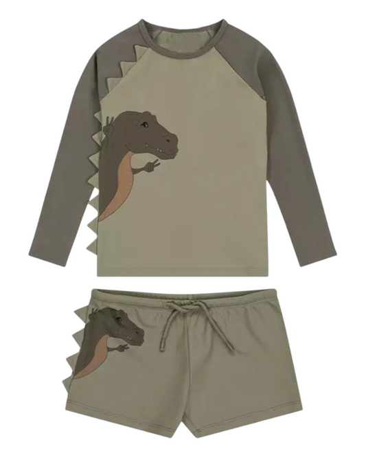 Boys' dinosaur swimwear set