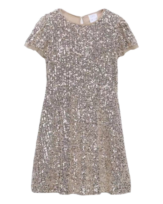 Sparkling Party Sequin Dress