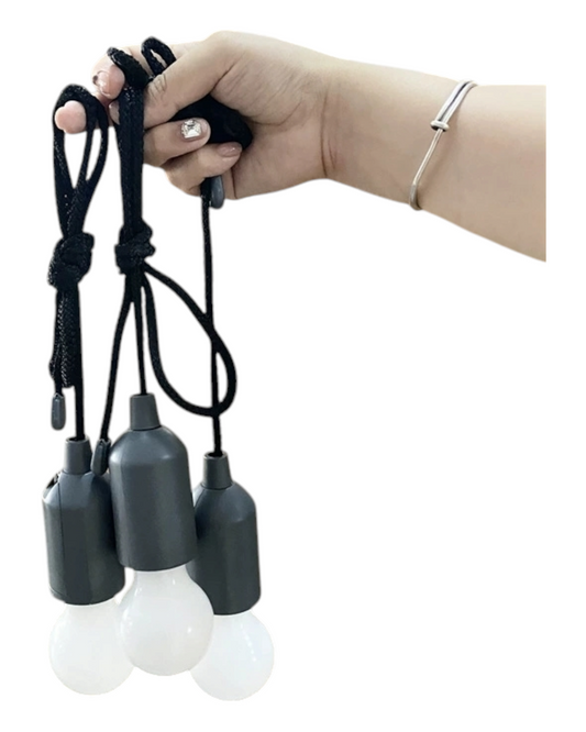 Portable Battery Powered Light Bulb