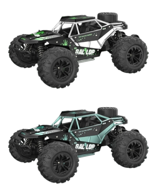 Remote Control Outdoor Speedy Car