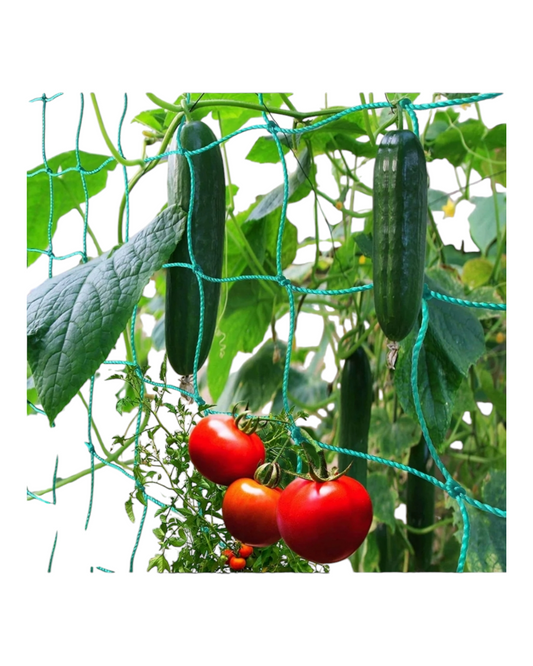 Green Garden Net for Climbing Plants