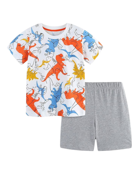 Boys' Patterned T-Shirt and Shorts Outfit Set