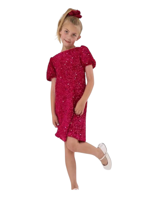 Glittering Sequined Girls Dress