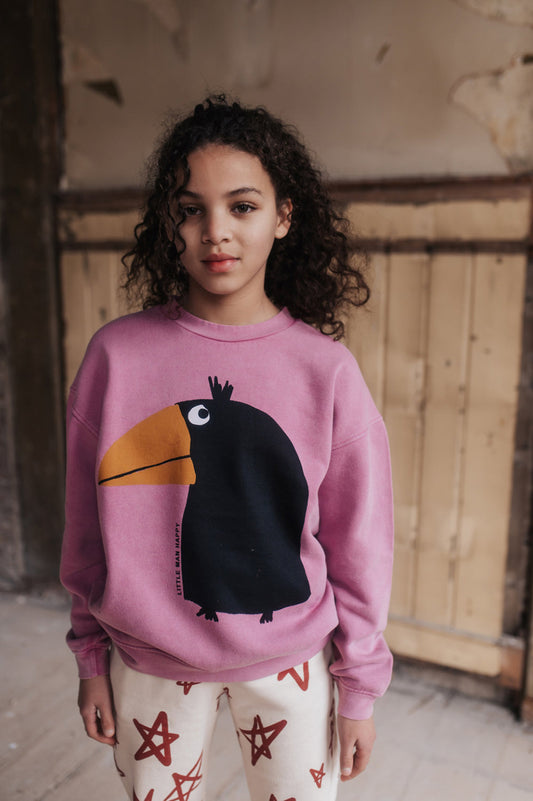 Pink Sweater with Bird Design