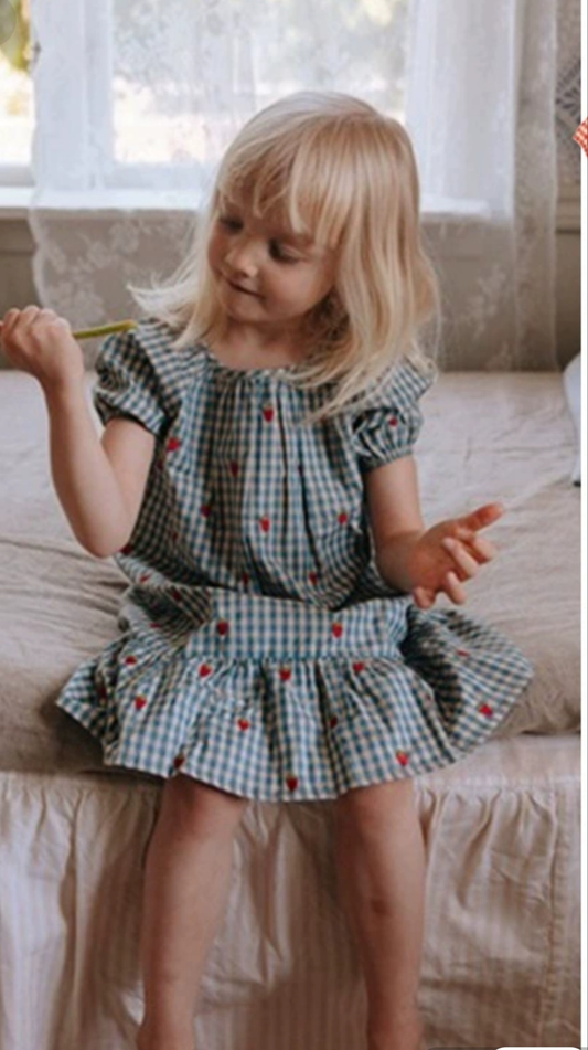 Plaid with Strawberry Pattern Dress