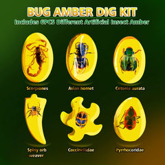 Bug Amber Dig Kit