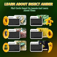 Bug Amber Dig Kit