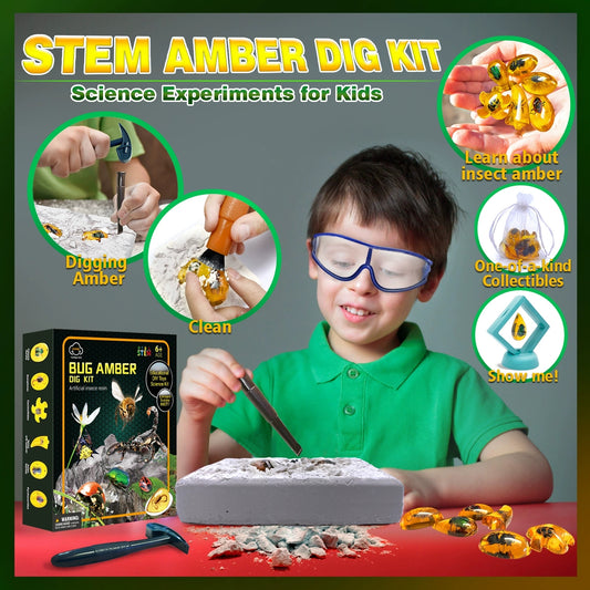 Bug Amber Dig Kit