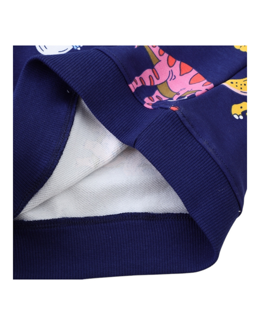 Blue Jumper with Dinosaur Pattern