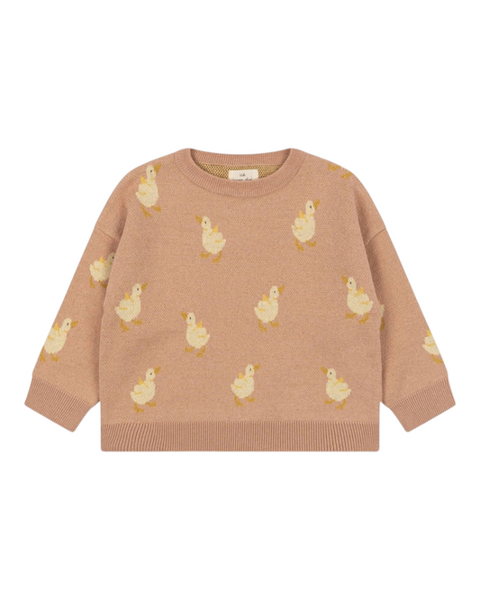 Jumper with Duckling Pattern