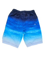 Swim Shorts in Gradient Blue
