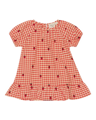 Plaid with Strawberry Pattern Dress