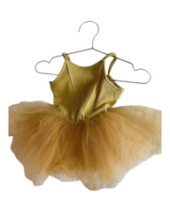 Toddler Ballerina Dress with Tulle Skirt