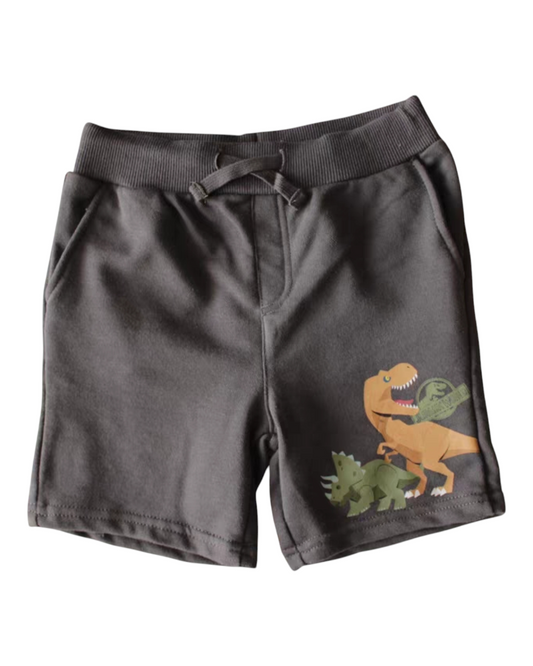 Black Shorts With Dinosaurs