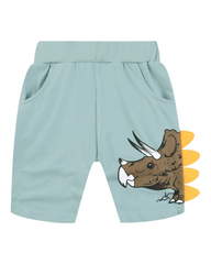 Graphic Boys' Shorts with Design