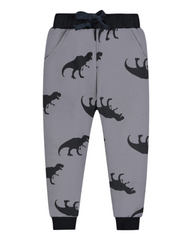 Boys' Grey Dinosaur Patterned Track Pants