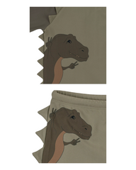 Boys' dinosaur swimwear set