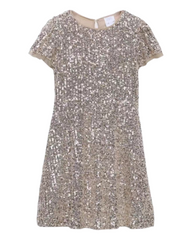 Sparkling Disco Sequin Dress