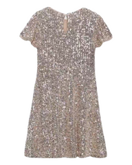 Sparkling Disco Sequin Dress