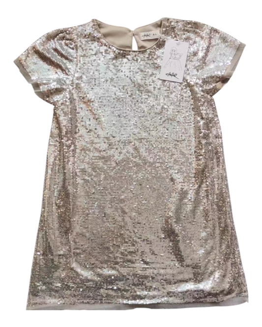 Sparkly Dress