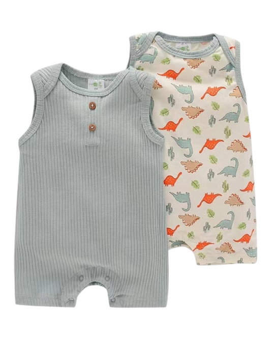 Newborn to a Year Old Bodysuits