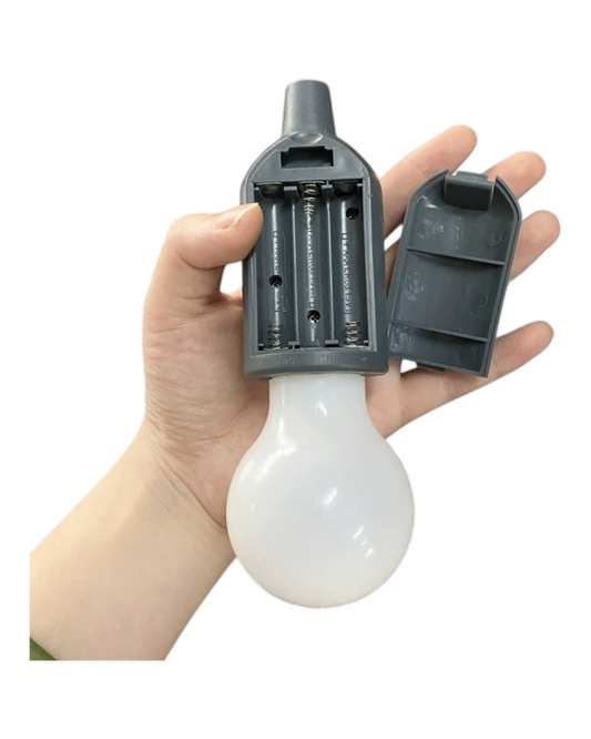 Portable Battery Powered Light Bulb