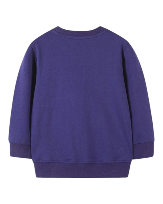 Girls' Purple Jumper with Owl Graphic