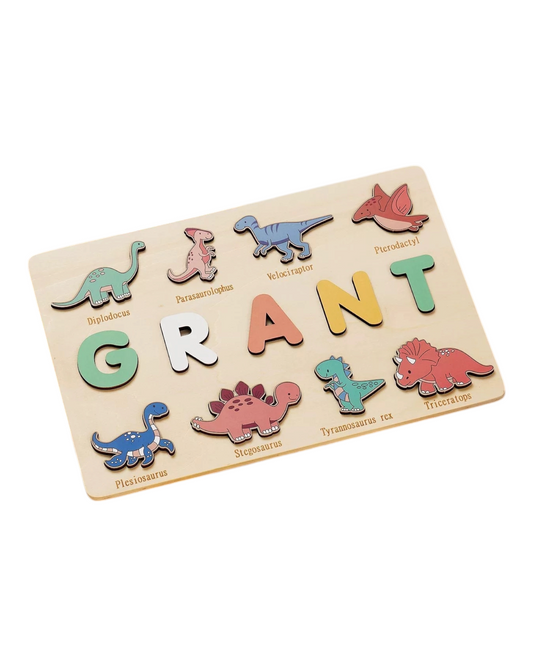 Dinosaur Name and Picture Match-Up Toy Board