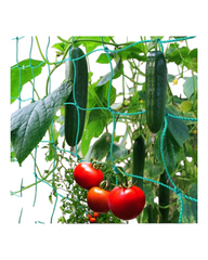 Green Garden Net for Climbing Plants