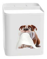 Tissue Box Holder with Interactive Tissue Design
