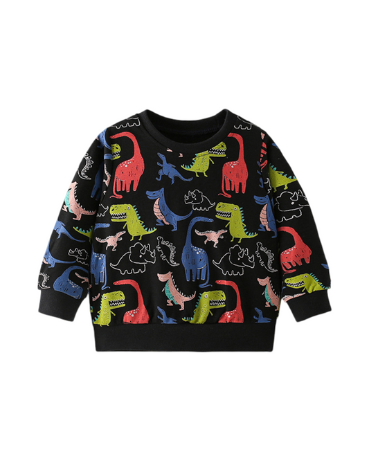 Dino Fun Facts Sweatshirt
