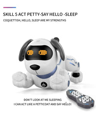 Programming Remote Control Stunt Dog Robot