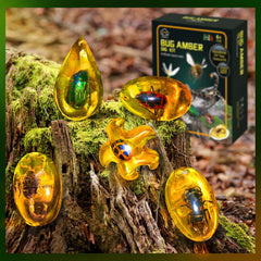 Bug Amber Dig Kit