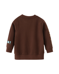 Cute Dinosaur Print Sweatshirt Boys Toddler Long Sleeve Warm Casual Top
