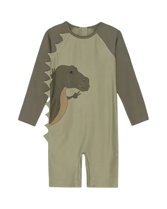 Dinosaur Baby Swim Rush