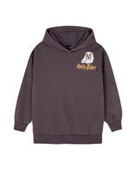 Heavyweight Fleece Hoodie – Long Sleeve Boys Graphic Sweatshirt
