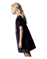 Sparkly Girls' Party Sleeve Dress