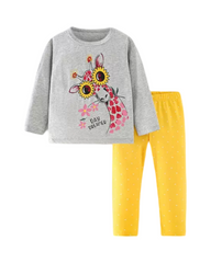 Super Comfort Long Sleeve Top and Pants Set