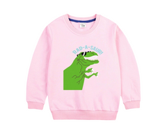 Dinosaur Sweatshirt