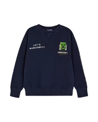 Boys Minecraft Sweater