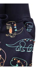 Dinosaur Patterned Boys Fleece Jogger Pants