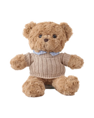 Plush Teddy Bear Stuffed Toy with Assorted Outfit