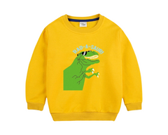Dinosaur Sweatshirt