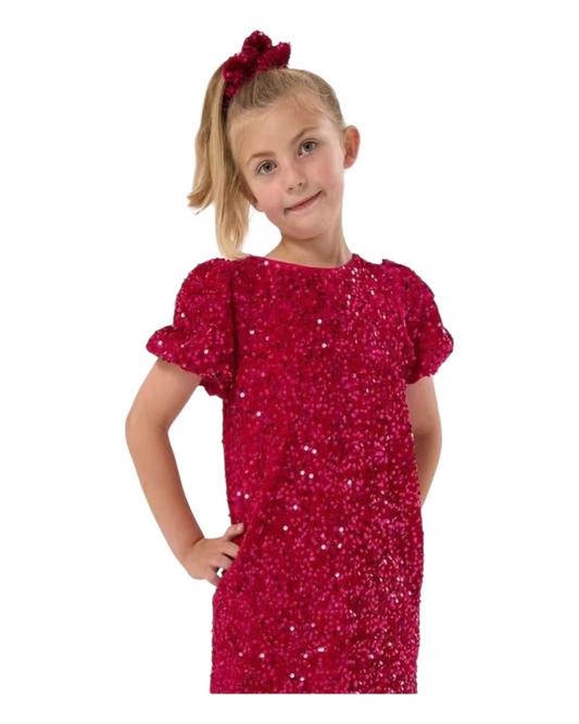 Glittering Sequined Girls Dress