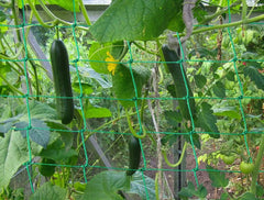 Green Garden Net for Climbing Plants