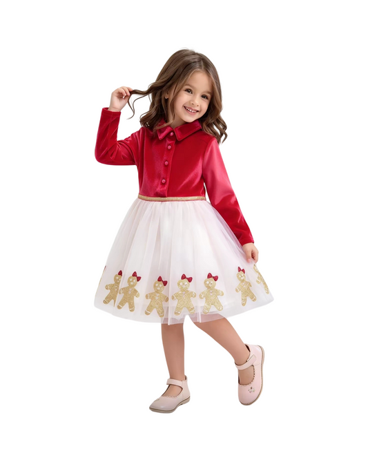 Elegant Holiday Party Dress for Girls Formal Attire