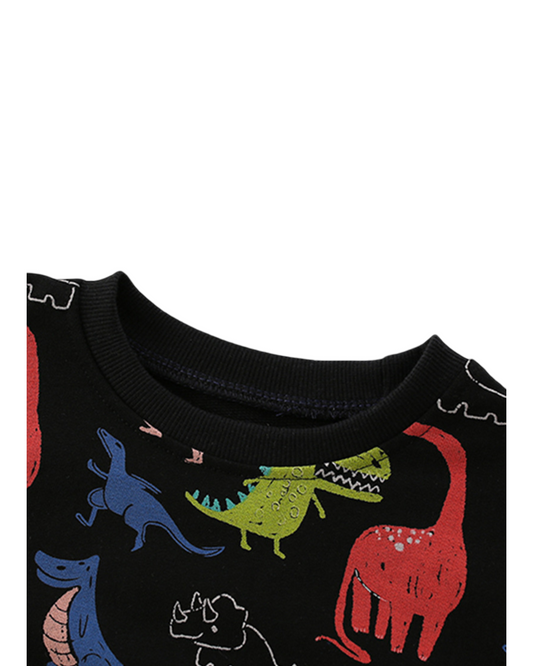 Dino Fun Facts Sweatshirt