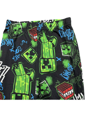Minecraft Creeper Print Long Sleeve Shirt and Cotton Pants Set